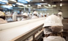 Food Manufacturers Lack Supply Chain Visibility, Risk Reputational Damage